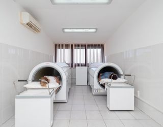 Пансионат "Шексна"